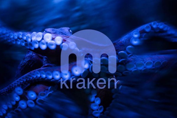 Kraken официальный